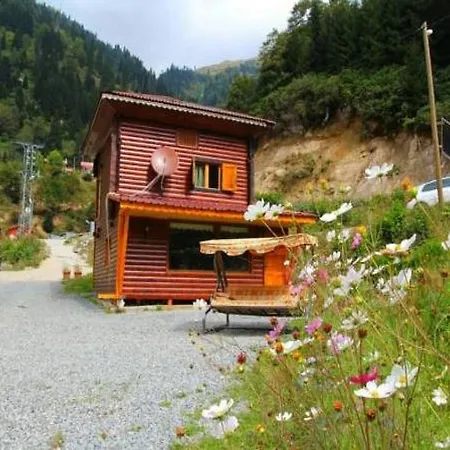 Bed & Breakfast Selale 3*