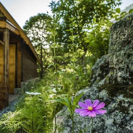 Bed & Breakfast Selale Ayder Yaylasi