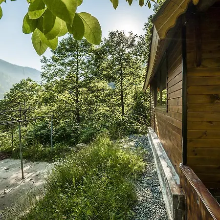 Bed & Breakfast Selale Ayder Yaylasi